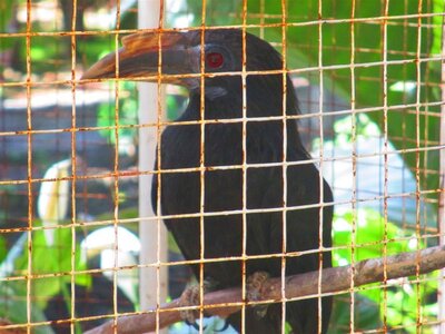 IMG_3506 (Medium).jpg