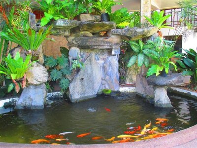 IMG_3441 (Medium).jpg