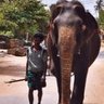 sudu