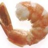 shrimpkopf