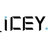 iceysjourney