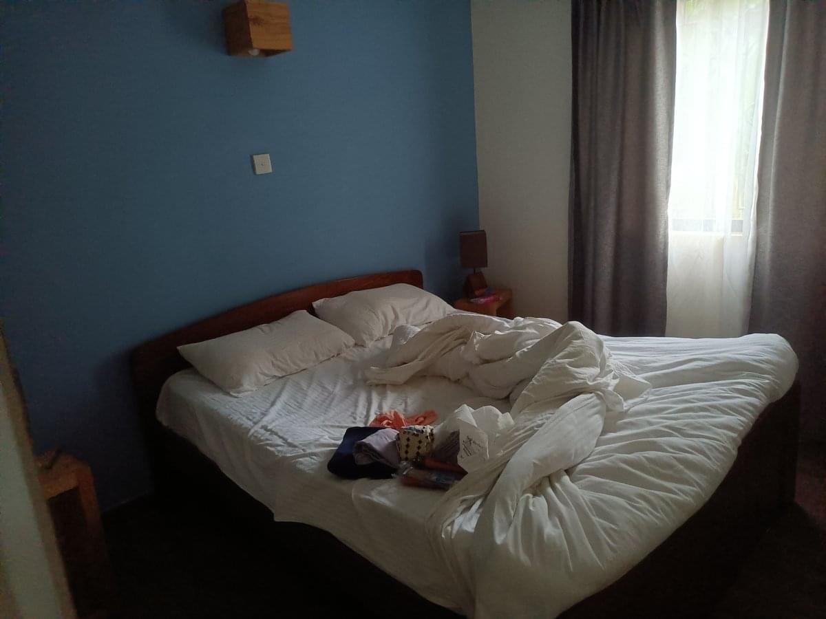 IMG20230316084552.jpg