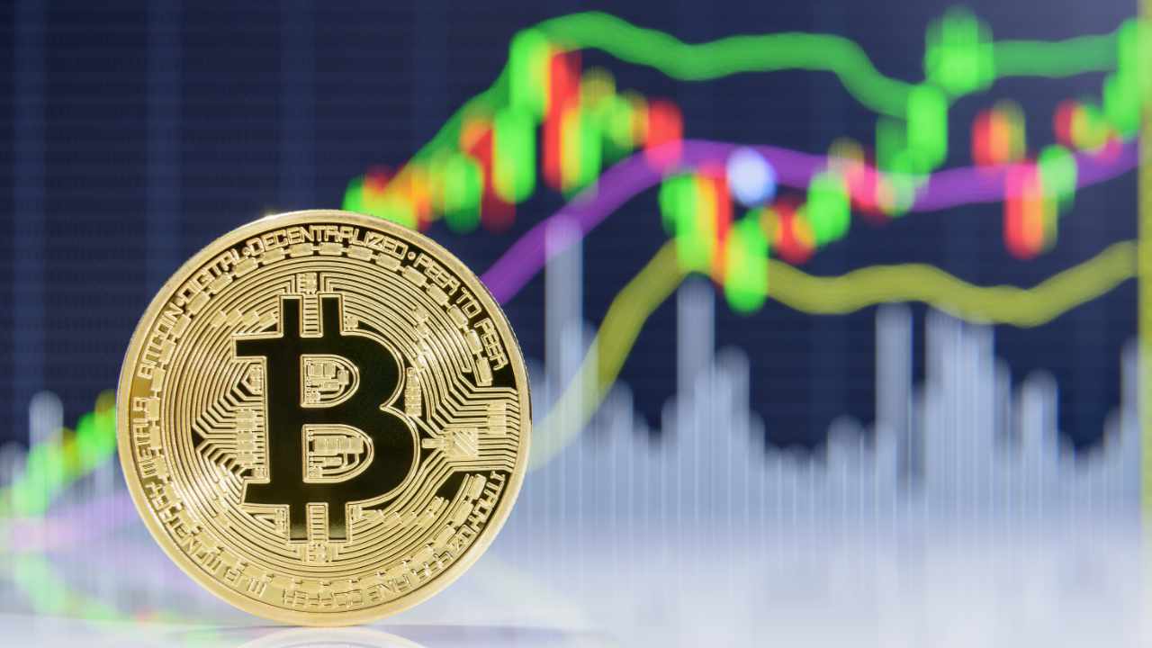 news.bitcoin.com