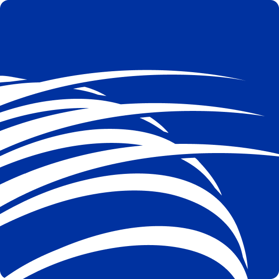 www.copaair.com
