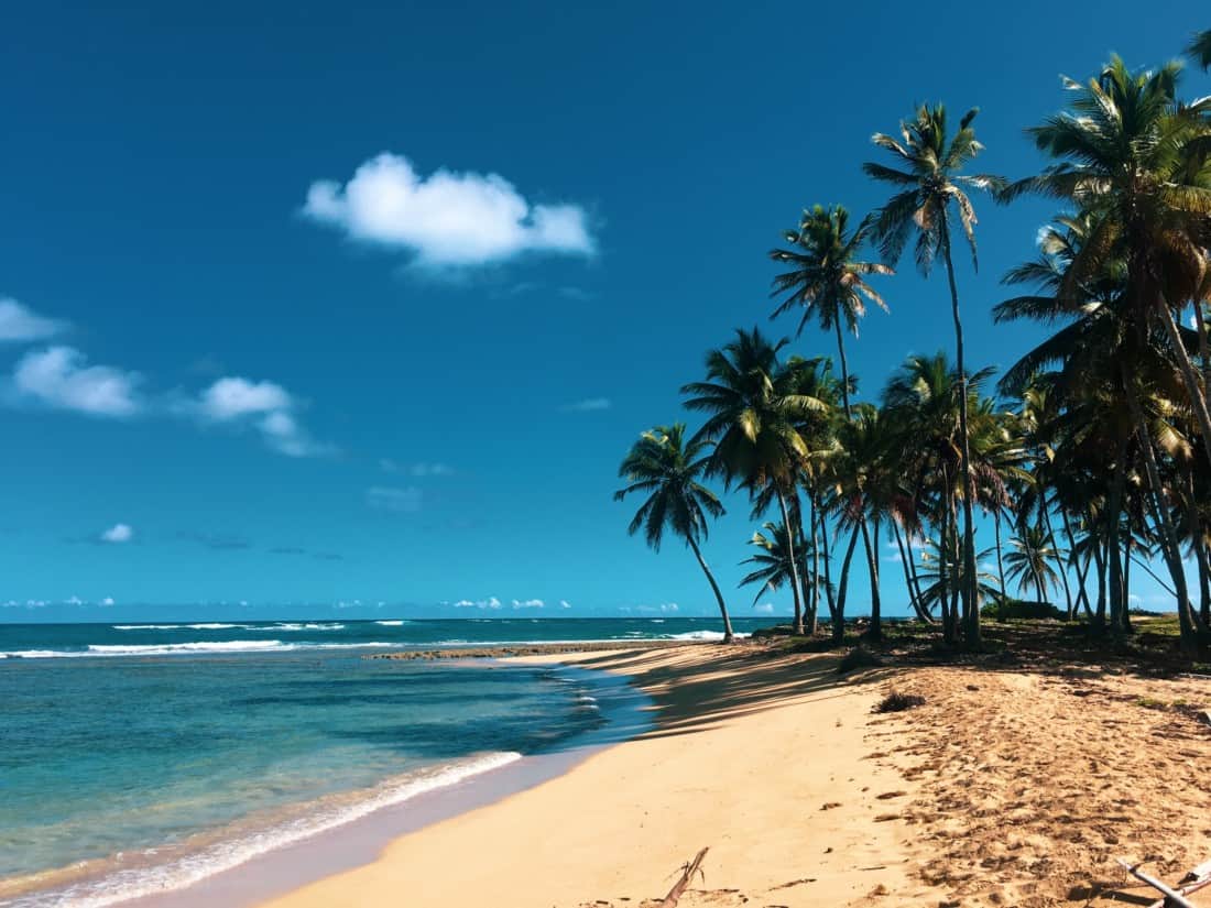 travel-dealz.de