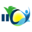 iic-spanish.com