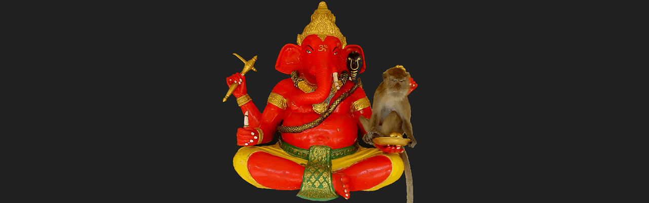 www.samuiforsale.com