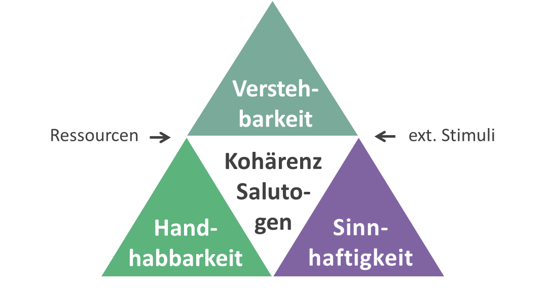 de.wikipedia.org