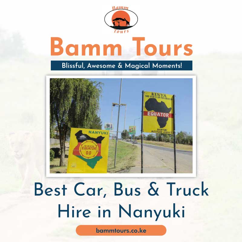 bammtours.co.ke