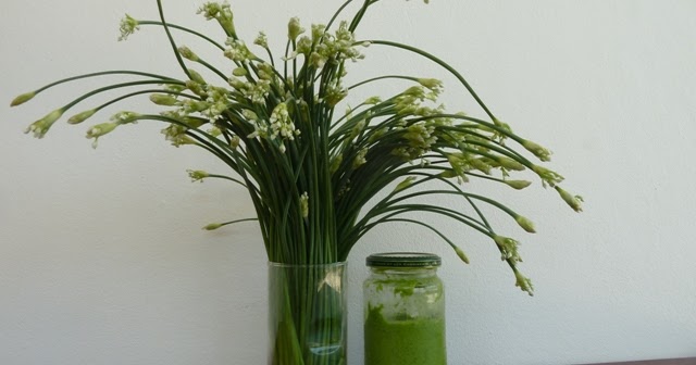 spacesandspices-dorrie.blogspot.com