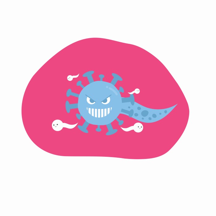 der-farang.com
