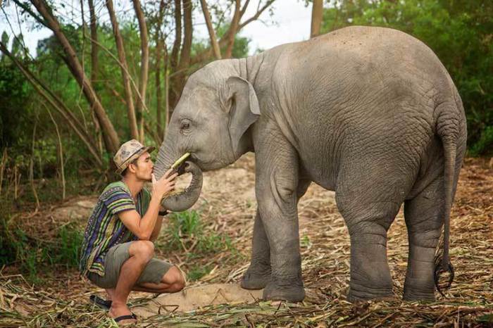 der-farang.com